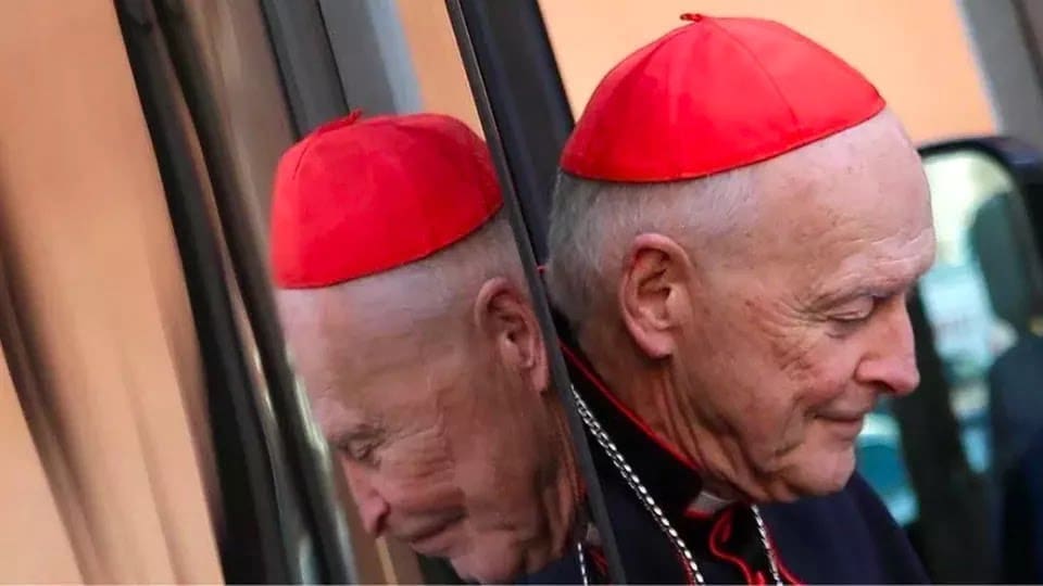 theodore mccarrick.png fdetail 558h720w1280pfhw875d6d5