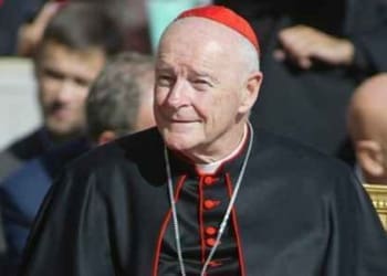mccarick pedofilia chiesa usa lapresse 2021 640x300 1