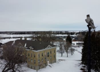 23storie canada portage la praire residential school foto di raffaele manco 1