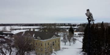 23storie canada portage la praire residential school foto di raffaele manco 1