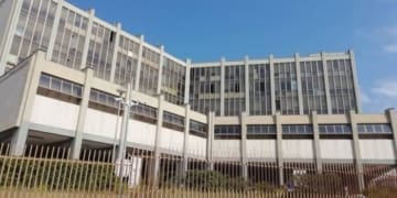 news369003