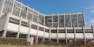 news369851