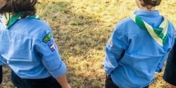 scout