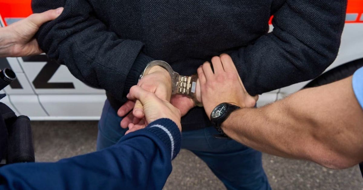 f giovani pedofili cacciatori zurigo sospettati 1kukk