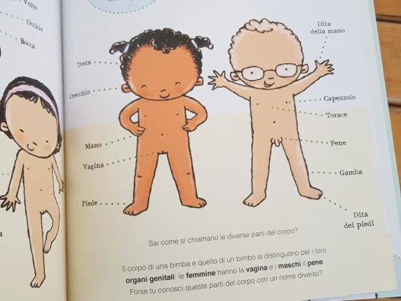 Scuola, educazione sessuale vietata fino alle medie. Scontro governo-opposizione: «No all’ideologia gender», «Deriva oscurantista»