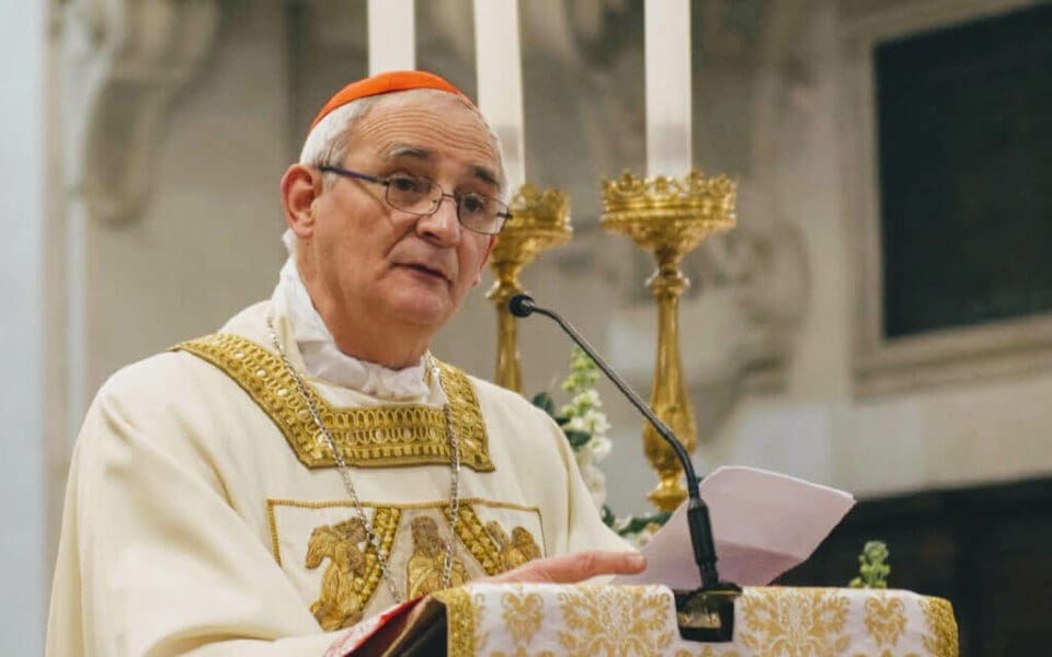 INFOVATICANA 324 960x600 1